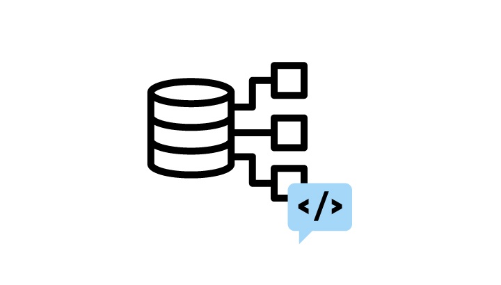 Database Developer
